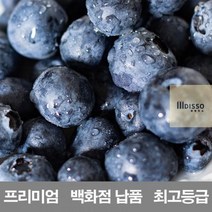 영화청과_프리미엄_블루베리_냉동_시세_생_400g_납품_수입산_재배_보관_백화점_저장 EA83, 상세페이지 참조