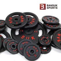 반석스포츠 블랙바벨 10kg, 1개