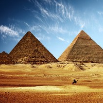 프래그런스오일_500ml_향수향, 500ml, 이집트엠버, 1개