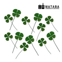 마타바 압화-네잎크로버 (압축진공팩포장), 1개