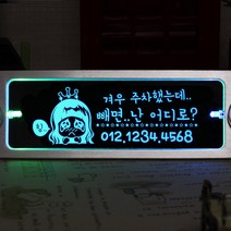 조아애드 무선 키스 투톤 LED 주차번호판, 그린+블루 (DC-20), 1개