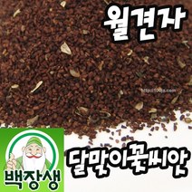 [백장생]월견자 달맞이꽃씨앗 (달맞이꽃종자 달맞이씨 달맞이종자), 300g, 2개
