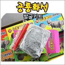 굿팬시 [H]공룡화석발굴키트, 1개