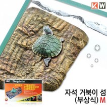 거북이 섬 [대], 1개