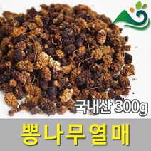 뽕나무열매(상심자)(300g)-국내산, 300g, 1