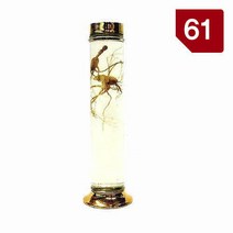 용천자연유리 담금주병 수동 61호, 12개