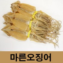 건어물광장 동해안 마른오징어, 마른오징어1.5kg