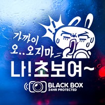 초보운전 안전운전 자동차스티커 반사 / SET가까이오지마4탄깜토, 1개