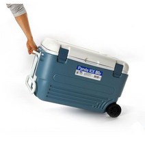 동남보온 DO-808 아이스박스, 1개, 80L, 80L
