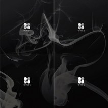(CD/랜덤발송) 방탄소년단 (BTS) - 2집 Wings (W.I.N.G Ver.), 단품