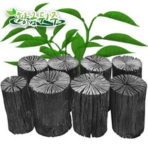 황금뒤주 참숯 흑탄 5kg 높이15cm, 1개