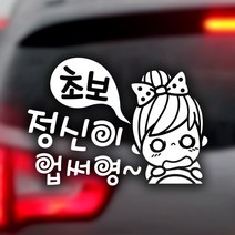 제제데코 초보운전 안전운전 차량 스티커 02, 040_정신이업써영초보_반사, 1개