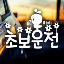 제제데코 초보운전 안전운전 차량 스티커 03, 069_초보운전나들이_반사