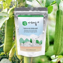 무농약 작두콩으로 만든 작두콩수세미차20g 20티백, 1개
