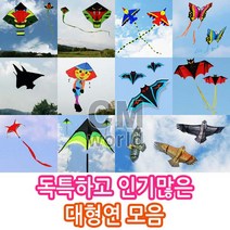 씨엠월드 유니크한 인기만점 대형연 모음 선택(낙하산 천 재질), 11_1.슈퍼이글킹 갈색