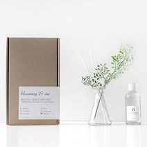 블루밍앤미 그린 leaf 디퓨저(아디안텀), 그린:유칼립투스