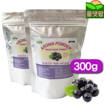올댓팜 아로니아 분말 100% (동결건조 폴란드산), 300g, 1개