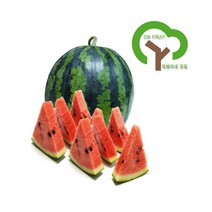 따봉이네과일 수박, 1통, 4~5kg