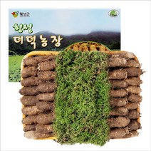 횡성더덕 선물세트( 특4호) 2.5kg내외, 1개