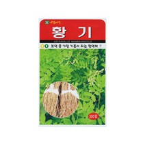 황기씨앗 300립