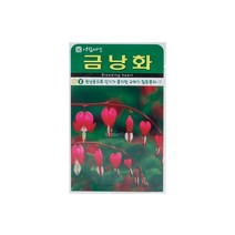 금낭화씨앗 20립, 1개