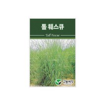 양잔디씨앗 톨훼스큐 20kg
