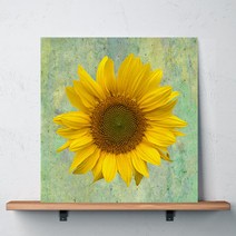 모던팩토리 복을 부르는 빈티지 해바라기 캔버스액자, 350mmX350mm