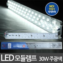 아이조명 LED모듈램프 25W 30W LED방등 LED기판 LED거실등 LED주방등, LED 모듈램프 30W 주광색