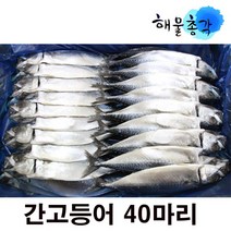 부산고등수산 TOP20 인기 상품