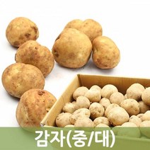 두리반농산 감자20kg(대) 수미감자, 1박스