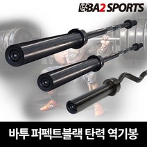 바투 퍼펙트블랙 탄력 바벨 역기봉, 탄력 컬바 10Kg