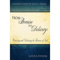 From Promise to Delivery: Conceiving and Delivering the Promises of God Paperback, Ceco Publishing