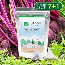 참건강마을 국산 비트차 20티백 7+1, 8팩