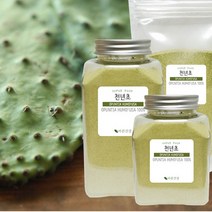 바른건강 천년초가루100% 손바닥선인장 줄기가루 천년초분말, 2개, 500g