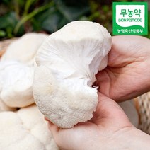 셋째딸농부 노루궁뎅이버섯 무농약 생버섯 5팩 건조, 1kg생버섯