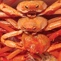 산지직송 동해 홍게 붉은대게 조업 입항 당일 생물 자숙(찜), 1박스, 09_홍게 고급형 5kg 10~15마리(생물)