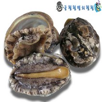 굴철철 바다장어 통영꼼장어 12시이전결재 당일발송, 1개, 전복500g중(8미)