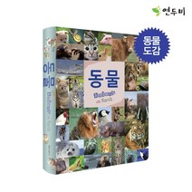 연두비 어린이 포켓 동물 도감