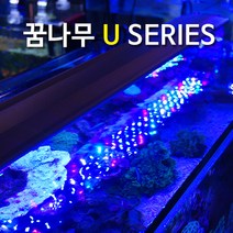 꿈나무 U75 해수, 1개
