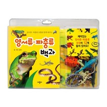 양서류 파충류 모형과 함께 배우는 - 양서류 파충류 백과