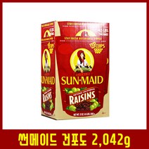 썬메이드 건포도 2042g, 1개