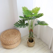 조아트 인조나무 조화나무 극락조 아레카야자 몬스테라 알로카시아 9종, 셀로움 105cm, 1개