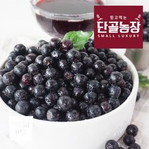 프레시데이 고창 프리미엄 아로니아 냉동생과 (줄기제거), 1박스, 2kg