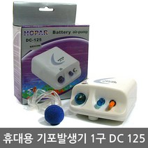 팜파크 휴대용 기포발생기 1구 DC 125 에어펌프