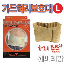 알피니스트 가드허리보호대(L) (XL), 1개