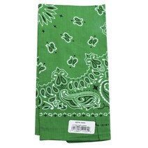 탑퍼포먼스 페이즐리 켈리 애완용 반다나, Green, 1개