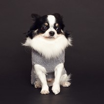 [무료배송+9900원+정품티셔츠증정]퍼피갤러리 두 이자벨 강아지 니트 강아지스웨터 프렌치불독옷 니트/스웨터 애견, 그레이
