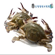 꽃게 신진도 활꽃게 2~3인분 당일조업 아침발송, 1개, 3kg빙장포장