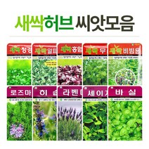 화분월드 새싹 허브 씨앗, 허브-라벤더, 1개
