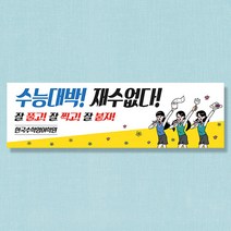 애니데이파티 수능응원현수막, 씨스타